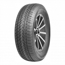 Royal Black Royal Winter HP 215/65R15 100H  XL